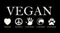 Veganesimo | Prima trasmissione televisiva interamente Vegan - AgoraVox Italia