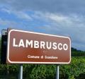 Lambrusco, è a rischio la denominazione tipica  - Cronaca - Gazzetta di Reggio