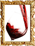 Agricola Buccelletti Winery | Produttori di vino in Toscana. Vini IGT e DOC Toscani, Olio extravergine di Oliva.